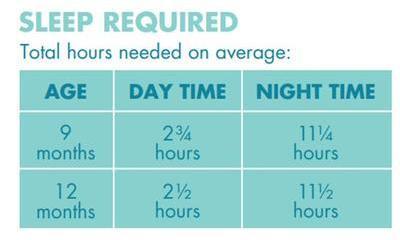 Age - nine months. Two and three quarter hours during the day. Eleven and a quarter hours at night. Age - twelve months. Two and a half hours during the day. Eleven and a half hours at night.