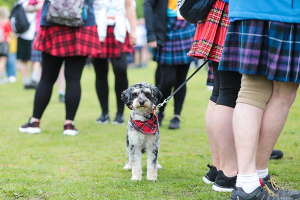 Photo of a dog standing next to legs wearing kilts