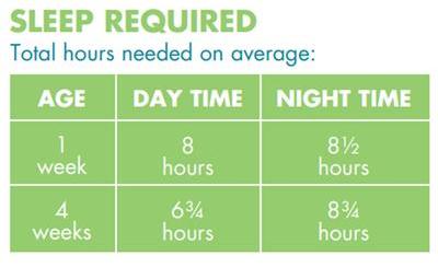 Age - one week. Eight hours during the day. Eight and a half hours at night. Age - four weeks. Six and three quarter hours during the day. Eight and three quarter hours during the night.