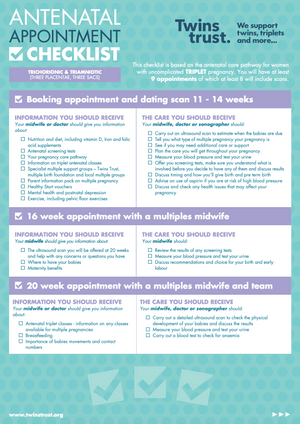 antenatal appointment checklist pdf