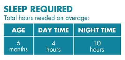 Age - six months. Four hours during the day. Ten hours at night.