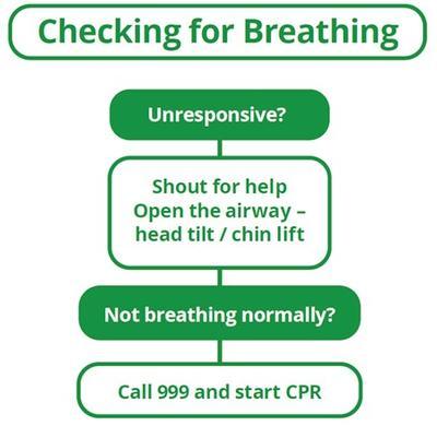 Checking for breathing diagram